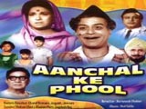 Aanchal Ke Phool (1968)