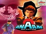 Anaam (1992)