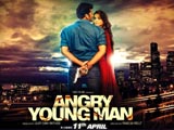 Angry Young Man (2014)