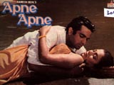 Apne Apne (1987)