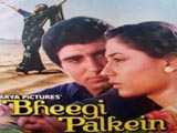 Bheegi Palkein (1982)