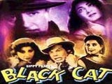 Black Cat (1959)