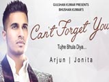 Can't Forget You (Tujhe Bhula Diya) (2015)