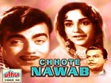 Chhote Nawab (1961)