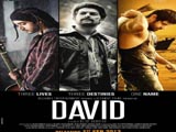 David (2013)