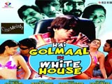 Hai Golmaal In White House (2013)