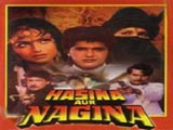 Hasina Aur Nagina (1996)
