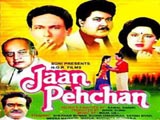 Jaan Pehchan (1991)