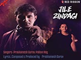 Jile Zindagi (2015)