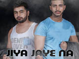 Jiya Jaye Na (2016)