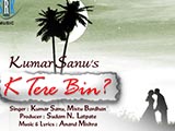 K Tere Bin (Album) (2012)