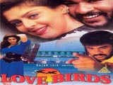 Love Birds (1996)