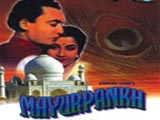 Mayur Pankh (1954)