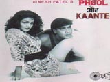 Phool Aur Kaante (1991)