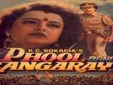 Phool Bane Angarey (1991)