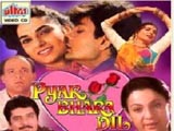 Pyar Bhara Dil (1991)