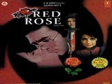 Red Rose (1980)