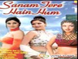 Sanam Tere Hain Hum (2000)