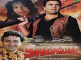 Sherdil (1990)