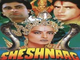 Shesh Naag (1990)