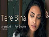 Tere Bina (2015)