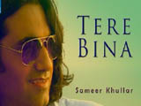 Tere Bina (2016)