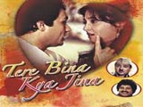Tere Bina Kya Jeena (1989)