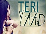 Teri Yaad (2015)