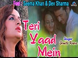 Teri Yaad Mein (2016)