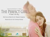 The Perfect Girl - Ek Simple Si Love Story (2015)