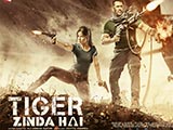 Tiger Zinda Hai (2017)