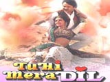Tu Hi Mera Dil (1995)