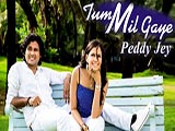 Tum Mil Gaye (2013)