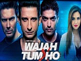 Wajah Tum Ho (2016)