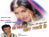 Woh Ladki Yaad Aati Hai (Album) (2013)