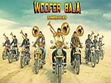 Woofer Baja (2016)