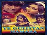 Ye Gulistan Hamara (1972)
