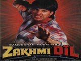 Zakhmi Dil (1994)