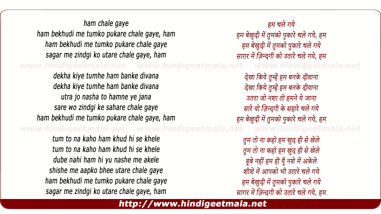lyrics of song Hum Bekhudi Mein Tumko Pukare Chale Gaye