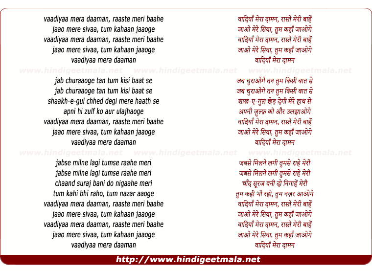 lyrics of song Wadiyan Mera Daman Raaste Meri Baahen