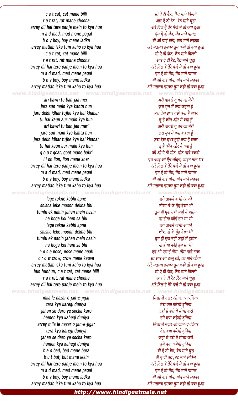 lyrics of song C A T Cat Mane Billi