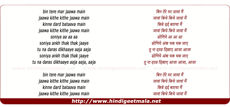 lyrics of song Bin Tere Mar Jaawaan Main