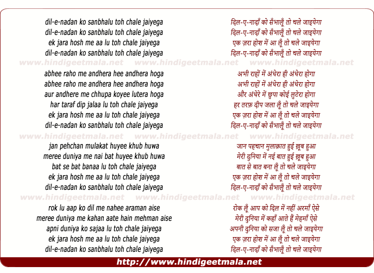 lyrics of song Dile Nadan Ko Sanbhalu Toh Chale Jaiyega