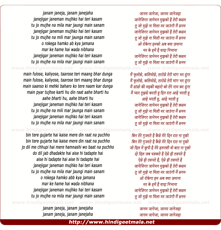 lyrics of song Janam Janeja Janam Janejahan, Tu Jo Mujhe Na Mila