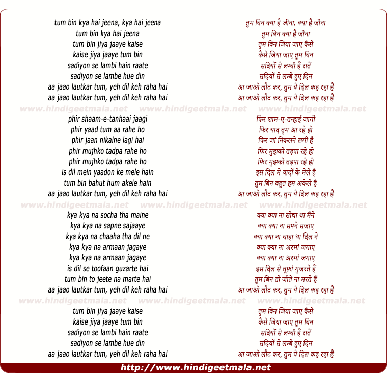 lyrics of song Tum Bin Kya Hai Jeena