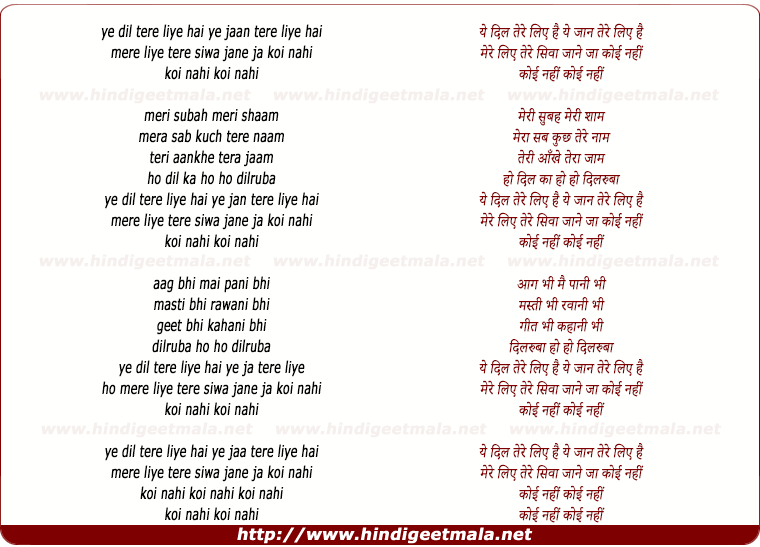 lyrics of song Ye Dil Tere Liye Hai Ye Jaan Tere Liye Hai