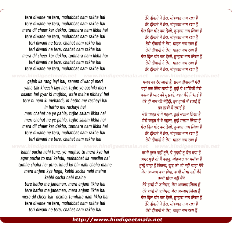 lyrics of song Tere Deewane Ne Tera Mohhabat Naam Rakha Hai