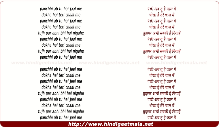 lyrics of song Panchhi Ab Tu Hai Jaal Me