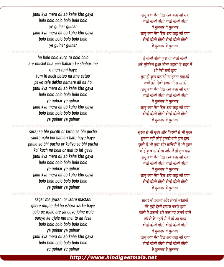 lyrics of song Janu Kya Mera Dil Ab Kaha Kho Gaya Bolo Bolo