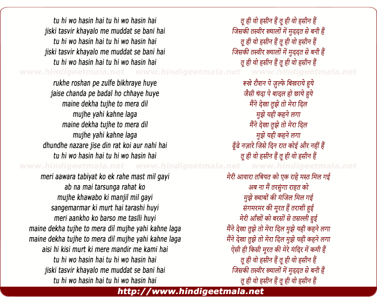 lyrics of song Tu Hi Woh Hasin Hai, Jiski Tasvir Khayalo Me